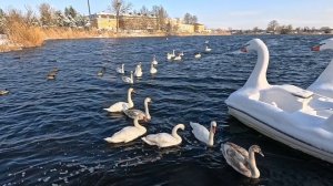 17.01.26.Зима в Анапе продолжается ❄️🌨️