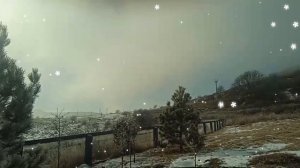 Наша зима❄️Мороз -10°, а от снега ничего не осталось..17.01.26.