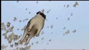 кринж мопс 3D танцует под верни мой косарь