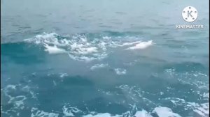 ВЕЧЕРНИЙ РЕЛАКС С КРАСИВОЙ МУЗЫКОЙ. УМАР КЕЙН.