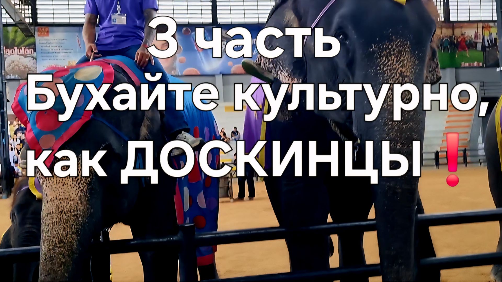 Бухайте культурно, как ДОСКИНЦЫ❗ смотреть онлайн