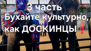 Бухайте культурно, как ДОСКИНЦЫ❗