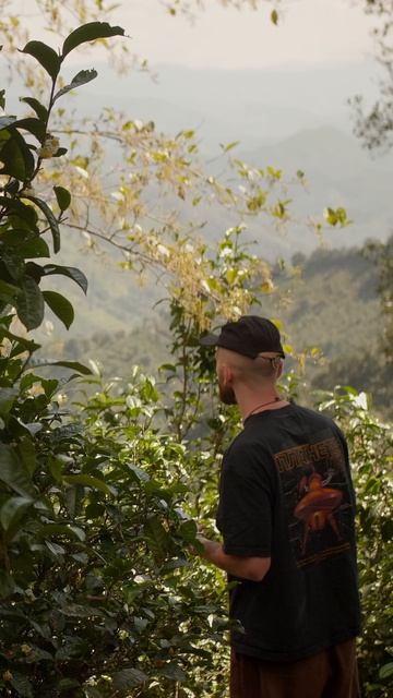 Пейзажи Горы Белого Тигра🍃 смотреть онлайн