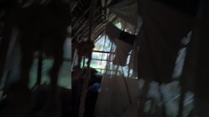 Обзор экодома