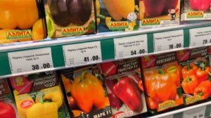 Сегодня решила поехать в магазин Семена.