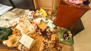 Мы с папой РАЗБИРАЕМ ЗАВАЛЫ после Люськи и банды с МИНИМАЛЬНОЙ ПОТЕРЕЙ ПРОДУКТОВ!