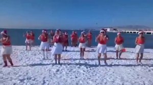 Геленджикские моржи