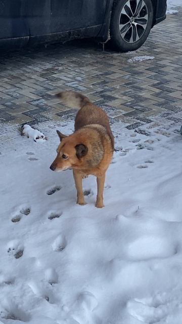 Зима в Анапе 2026 год ! смотреть онлайн