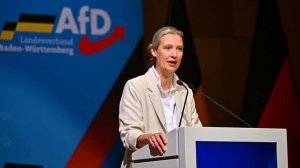 Лидер АдГ указала на приближающийся крах экономики Германии