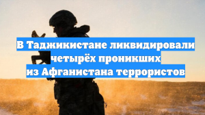 В Таджикистане ликвидировали четырёх проникших из Афганистана террористов