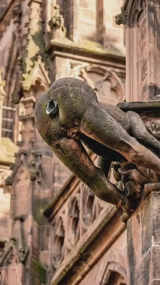 Почему одна горгулья Фрайбургского собора развёрнута задом к городу  #факты #история #shorts смотреть онлайн