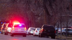 Пара расчленила соседей по дому и разбросала останки по парку