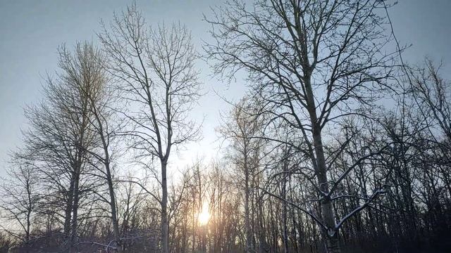 Мороз красный нос смотреть онлайн