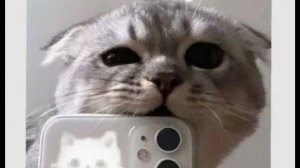 🤭Свежий футаж!✨