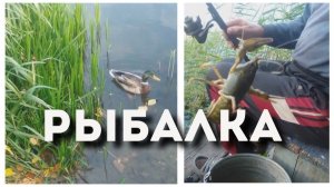 Ты посмотри, какое чудо выловил!