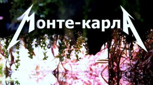 Самое модное аквариумное растение из Монте Карло - микрантемум