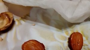 Стратификация косточковых, январь 2026г.