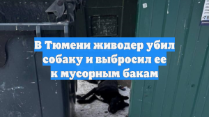 В Тюмени живодер убил собаку и выбросил ее к мусорным бакам