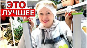 Покупаю каждый сезон. Теперь точно все полки с отличным освещением