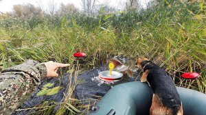 В ЭТИХ ЗАРОСЛЯХ ПОЛНО ЩУКИ. Рыбалка на кружки.