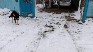 .Малыш тут как тут