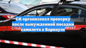 СК организовал проверку после вынужденной посадки самолета в Барнауле