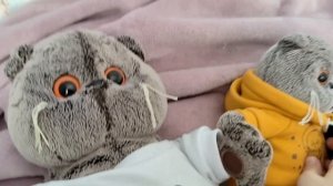 2 серия 1 сезон будние дни второй б класс