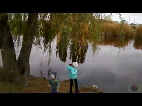 ПРОГУЛКА С ВНУКАМИ ПО НАБЕРЕЖНОЙ ЕРИКА СОЛЯНКА смотреть онлайн