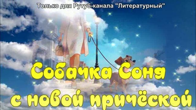 Собачка Соня с новой причёской смотреть онлайн