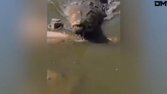 Самое необычное из цифрового хранилища. Видео из интернета. смотреть онлайн