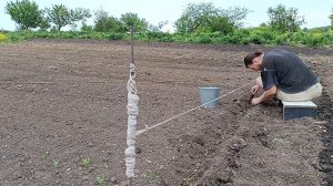 Тур по моему саду и огороду. Результат посева прямо в землю. Высаживаю рассаду.