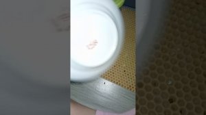 уборка на полке луны .  мы были в ветеренарке опять