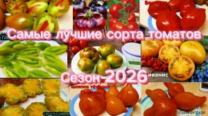 Эти сорта томатов я очень ждала.Необычные и сказочные.