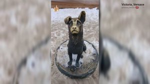 Доброе утречко! Желаю отличного дня! #утро #топ