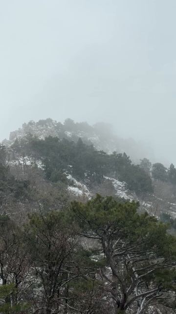 Крым 2026. Редкие кадры Кацивели в снегу с горы Кошка #кацивели #крым2026 #горакошка #зимавкрыму смотреть онлайн