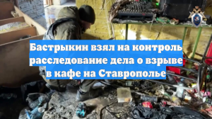 Бастрыкин взял на контроль расследование дела о взрыве в кафе на Ставрополье
