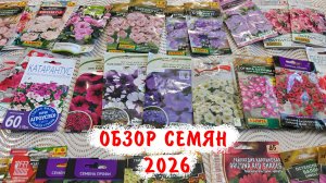 Обзор семян цветов 2026
