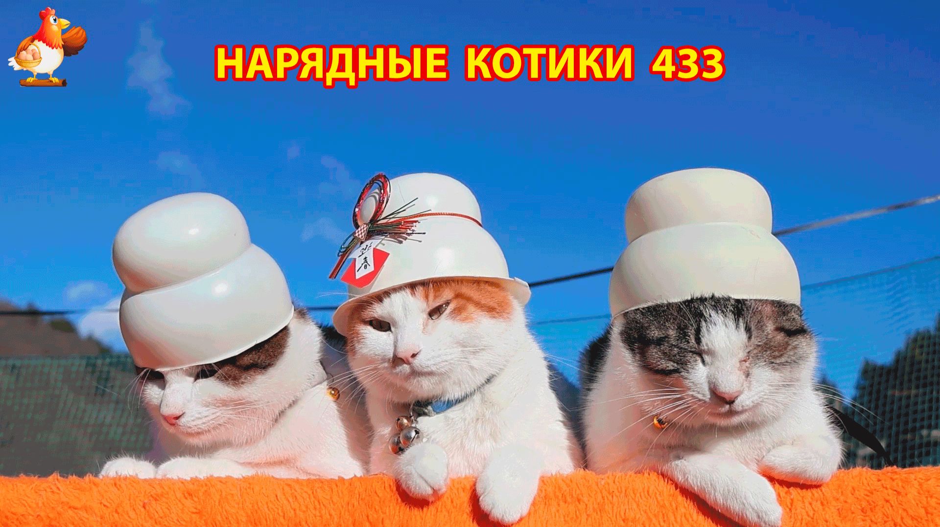 Нарядные Котики расслабляются на солнышке 🌞 🐈🐈🐈 (433) смотреть онлайн