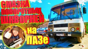 Автобус Паз Дизель Смазка поворотных Шкворней