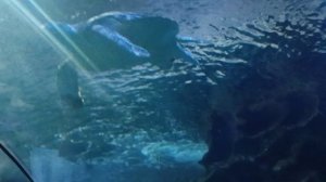 Поездка в США 2025, из Казани ч.2, перелет