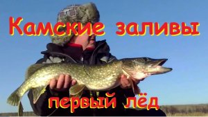 Первый лед Камские заливы
