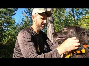 ОТКРЫТИЕ ОХОТЫ ПО БОРОВОЙ:  МАНЮ РЯБЧИКОВ, ЗАНЁС СОЛЬ НА СОЛОНЕЦ, ТАЁЖНАЯ КУХНЯ. #идилесом 05.09.24