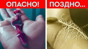 Природа кажется безопасной… пока вы не дотронетесь до этого