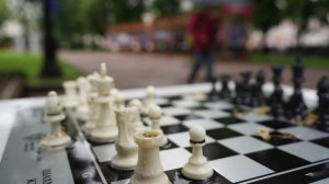 Пять стран хотят оспорить решение FIDE о допуске российских шахматистов