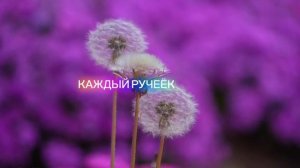 Притча о страннике и саде.