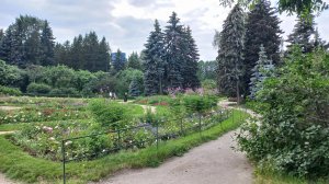 Екатеринбург. Дендрарий. УРФУ. Оперный театр. Карла Либкнехта. Прогулка 16.07.24