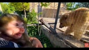 АнгеЛюсики смотрят как УБИРАЮТ ПАРК! Люся отстала и на нее НАЧАЛАСЬ ОХОТА)