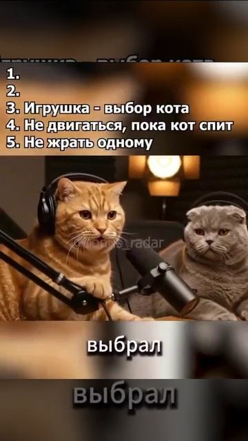 5 правил смотреть онлайн