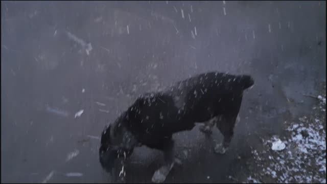 Новогодние чудеса Харли и Джек смотреть онлайн