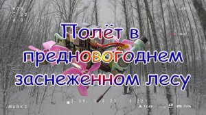 Полёт в предновогоднем заснеженном лесу
